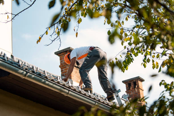 Best Gutter Installation and Roofing  in Ellwood City, PA
